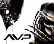 pic for Aliens vs Predators